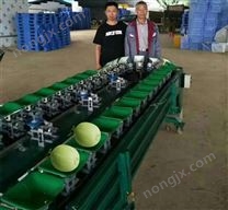 小香瓜如何分選更好
