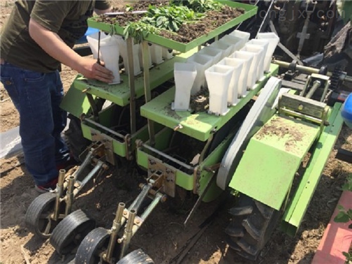 原野厂家款辣椒移栽机 株距行距可调