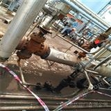 WYWY中溫中壓電動減溫減壓器申弘