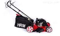 20寸草坪机 人造草坪机报价